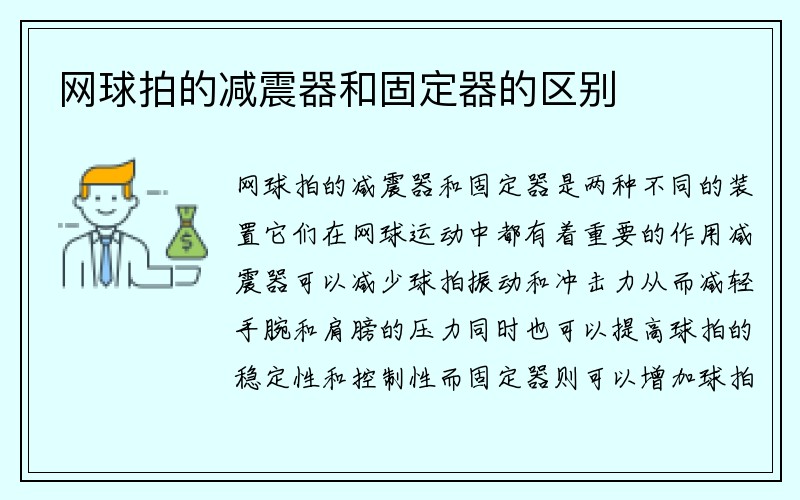 网球拍的减震器和固定器的区别