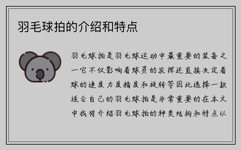 羽毛球拍的介绍和特点