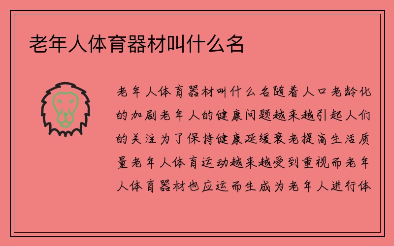 老年人体育器材叫什么名