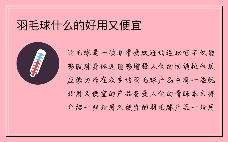 羽毛球什么的好用又便宜