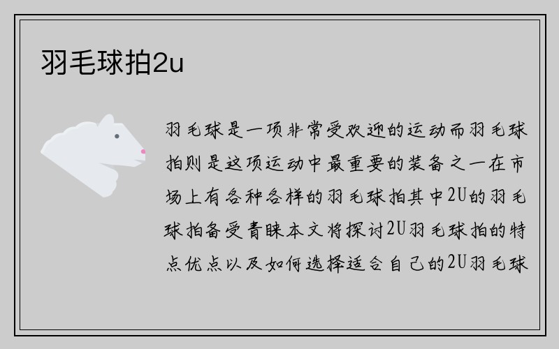 羽毛球拍2u