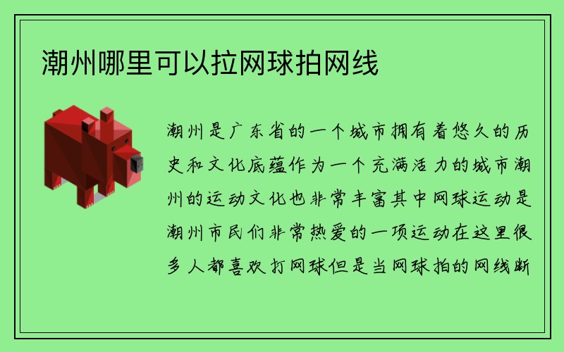 潮州哪里可以拉网球拍网线