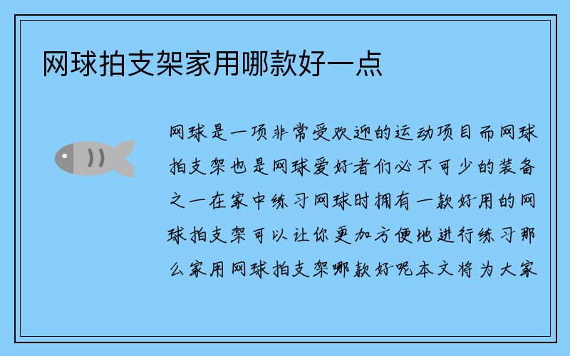 网球拍支架家用哪款好一点