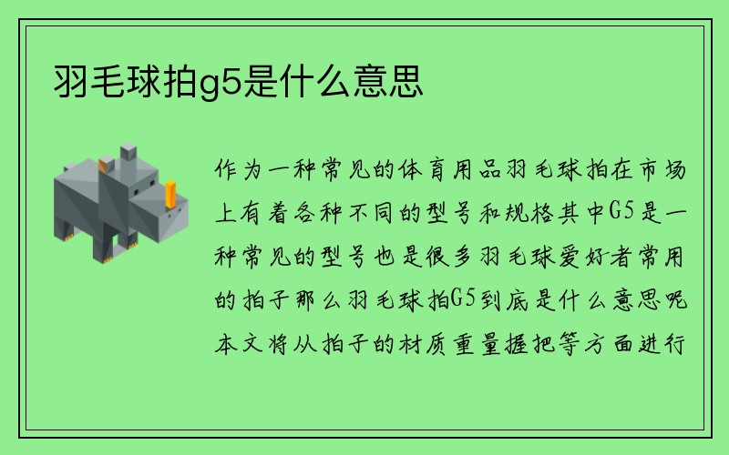 羽毛球拍g5是什么意思